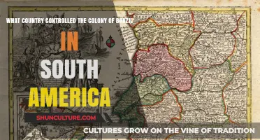 Portugal's Dominance: The Colonial History of Brazil in South America