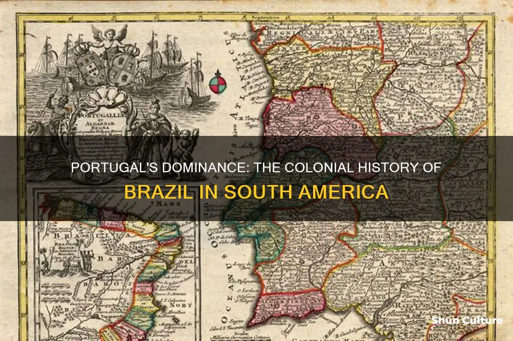 what country controlled the colony of brazil in south america