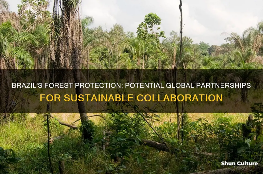 what country culd brazil collab with for forest protection