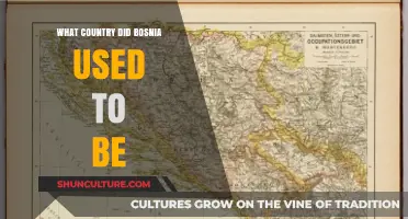 Bosnia's Historical Roots: Uncovering the Country It Once Belonged To