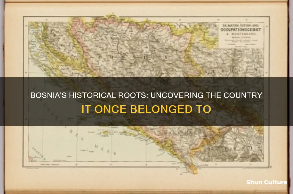 what country did bosnia used to be