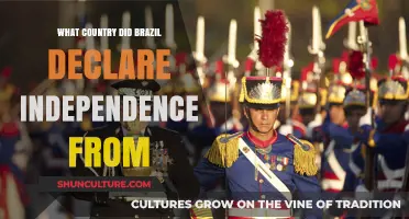 Brazil's Independence: Breaking Free from Portugal's Colonial Rule