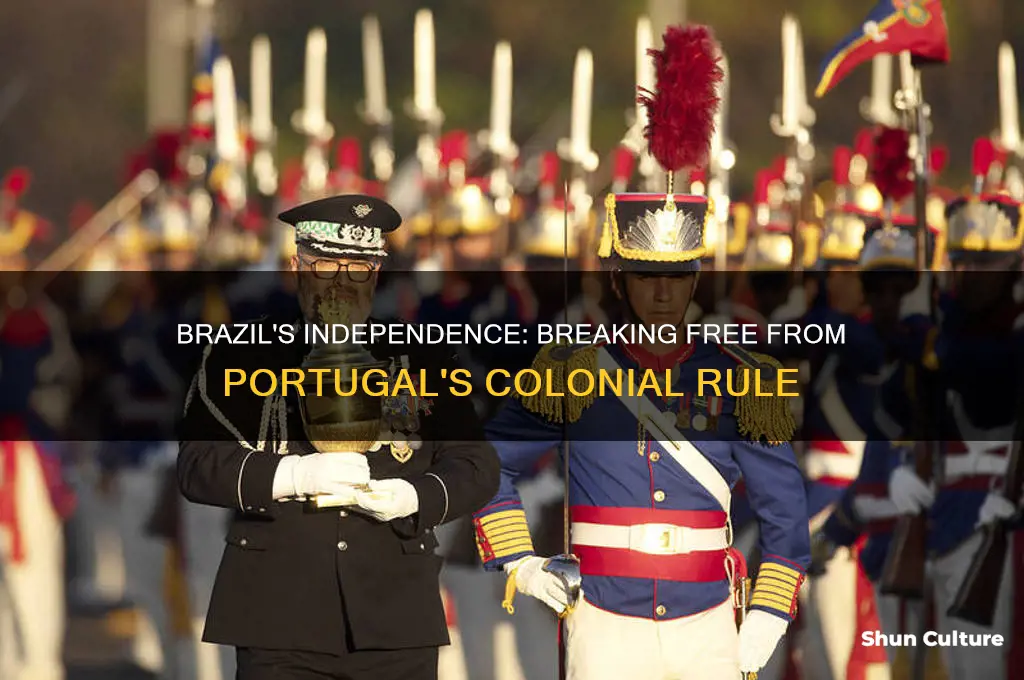 what country did brazil declare independence from