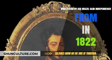 Brazil's 1822 Independence: Breaking Free from Portuguese Rule