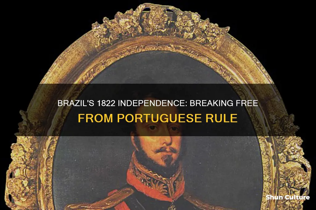 what country did brazil gain independence from in 1822