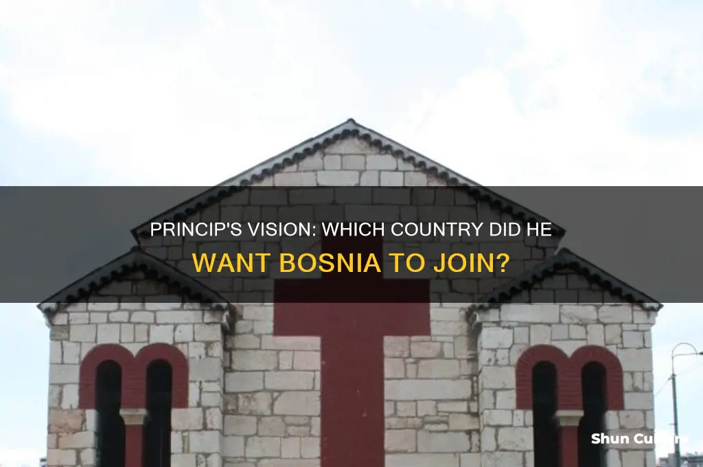 what country did princip want bosnia to join