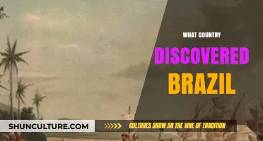Who Discovered Brazil? Unraveling the Historical Origins of Its Exploration