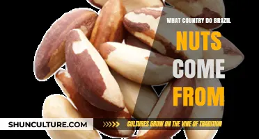 Unveiling the Surprising Origin of Brazil Nuts: A Country Revealed