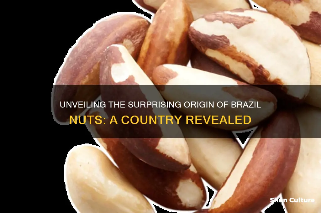 what country do brazil nuts come from