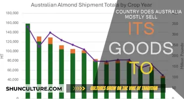 Australia's Top Export Partners: Who Buys the Most?