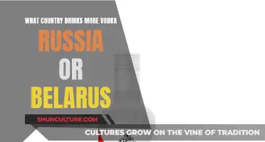 Vodka Consumption: Russia vs Belarus, Who Wins?