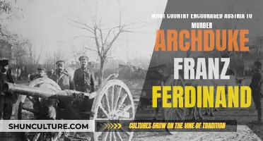 Serbia's Role in Archduke Franz Ferdinand's Assassination