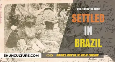 Exploring Brazil's Origins: Which Country Settled There First?