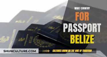 Belizean Passport Power: Exploring the World with a Belizean Passport