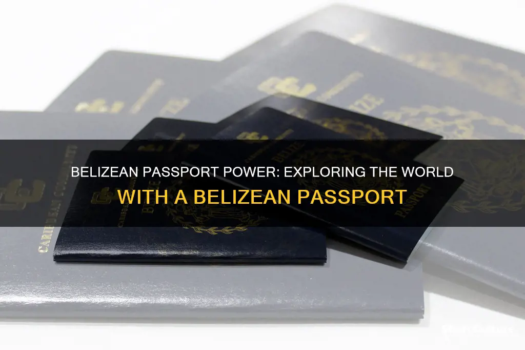 what country for passport belize