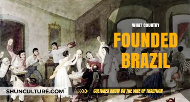 The Origins of Brazil: Which Country Played a Founding Role?