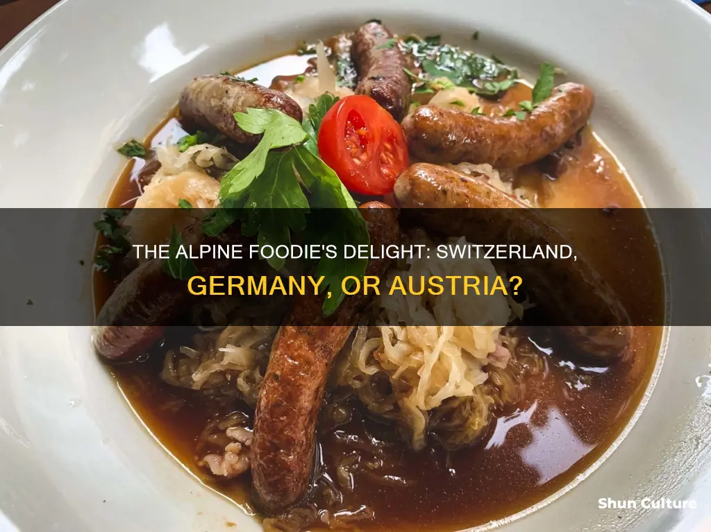 what country has the best food switzerland germany or austria