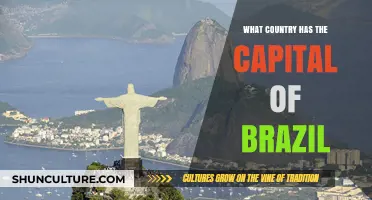 Exploring Brazil's Capital: Unveiling the Heart of South America's Giant