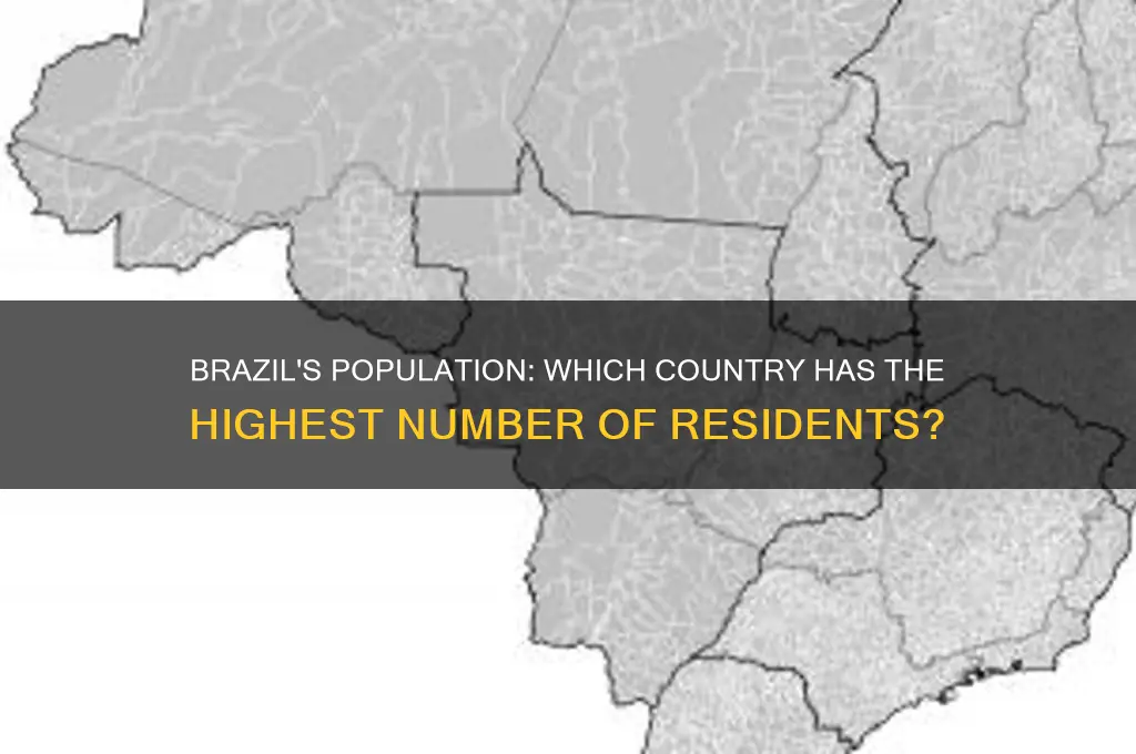 what country has the highest population in brazil