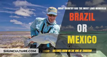 Comparing Land Areas: Mongolia, Brazil, or Mexico – Which Country Reigns Supreme?