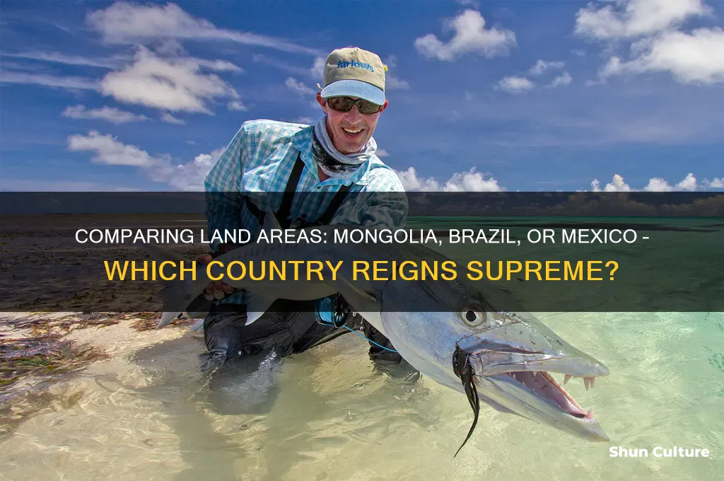 what country has the most land mongolia brazil or mexico