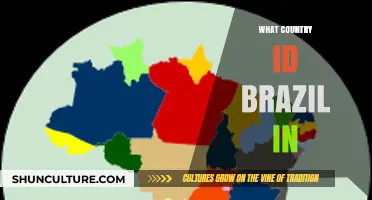 Where is Brazil Located? Exploring South America's Largest Country