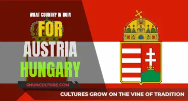 Austria-Hungary in HOI4: Strategies for Success