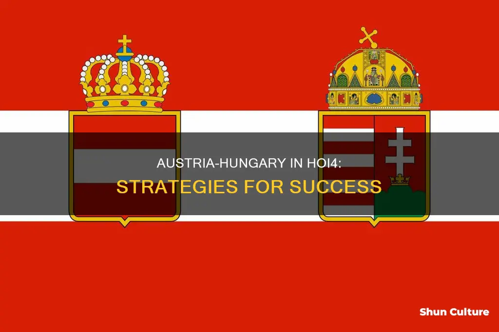 what country in hoi4 for austria hungary