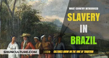 The Origins of Slavery in Brazil: Which Nation Played a Key Role?