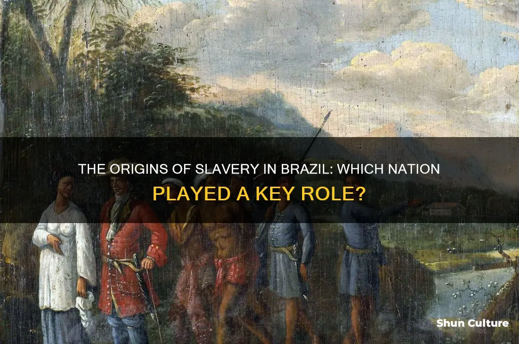 what country introduced slavery in brazil
