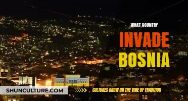 The Invasion of Bosnia: Which Country Led the Devastating Conflict?