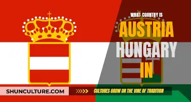 Austria-Hungary: A Country of Two Nations