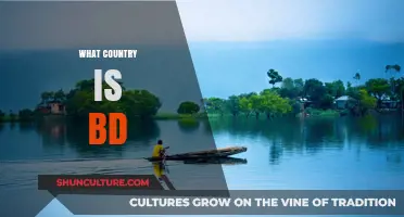 Unveiling Bangladesh: Exploring the Country Behind the BD Abbreviation
