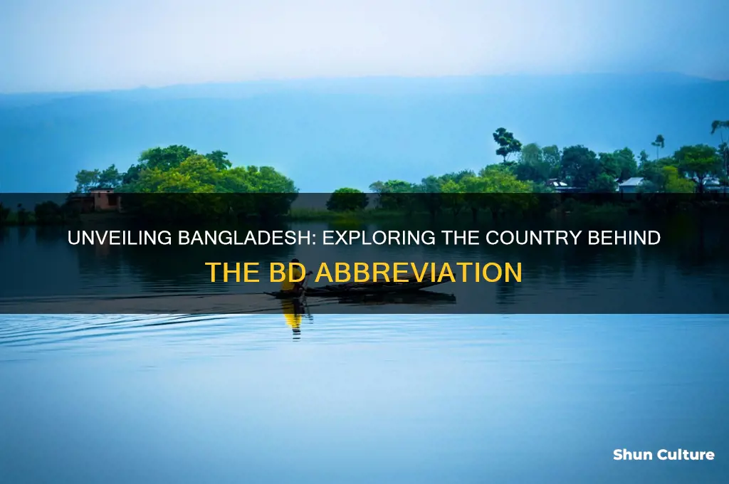 what country is bd
