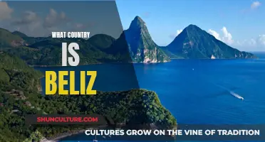 Belize's Country Profile: A Tropical Paradise with a Rich Cultural Heritage