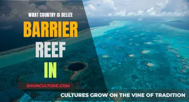 Belize Barrier Reef: A Natural Wonder in the Caribbean