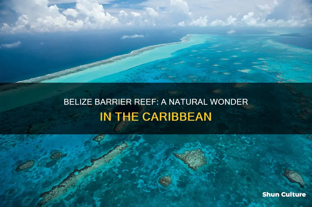 what country is belize barrier reef in