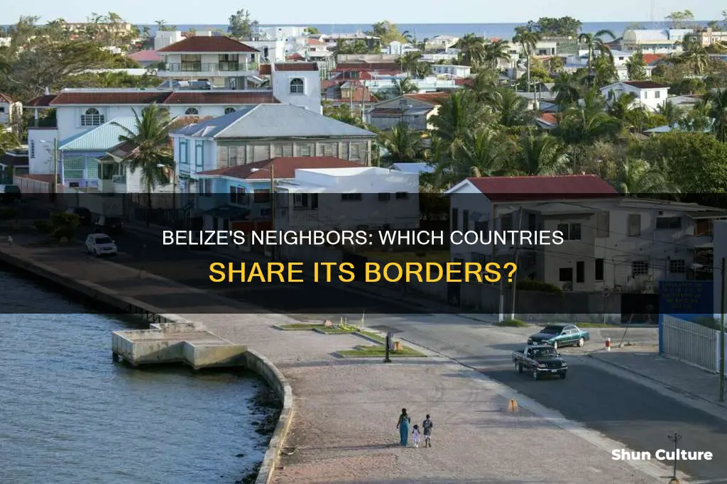 what country is belize near