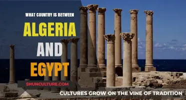 Exploring Libya: The Nation Nestled Between Algeria and Egypt