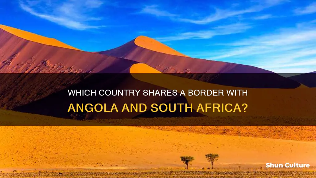 what country is bordered by angola and south africa