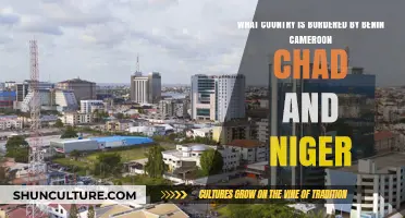 Exploring Nigeria: A Country Bordered by Benin, Cameroon, Chad, and Niger