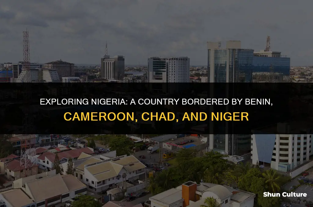 what country is bordered by benin cameroon chad and niger