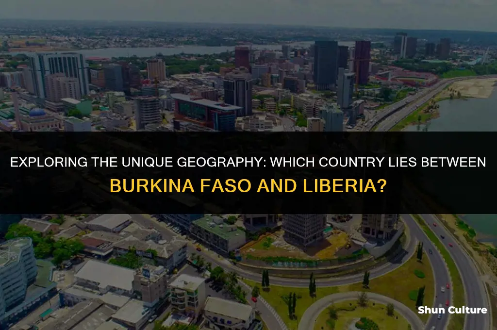 what country is bordered by burkina faso and liberia