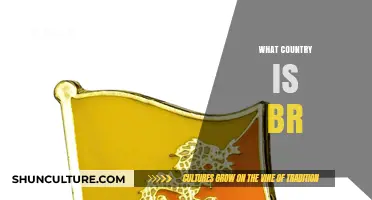 Unveiling the Mystery: Which Country Does 'BR' Represent?