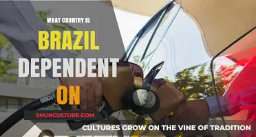 Brazil's Economic Dependence: Which Global Power Holds the Key?