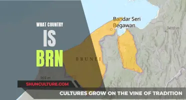 Where is BRN? Unveiling the Mystery Country