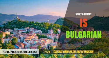 Exploring the Origins: Which Country Calls Bulgarian Its Own?