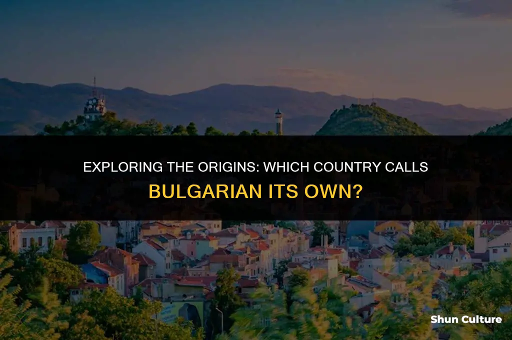what country is bulgarian