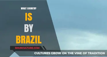 Exploring Brazil's Neighbors: Which Country Borders the South American Giant?