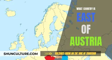 Exploring Neighbors: Nations East of Austria